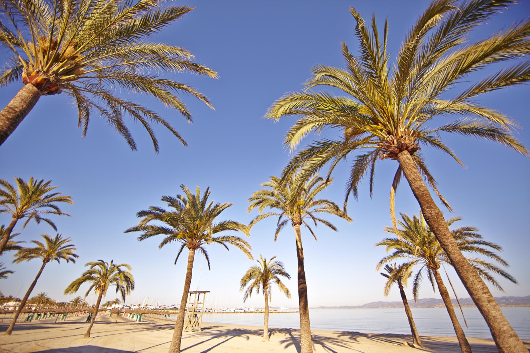 Mll Palma Bay Club 3* S'Arenal