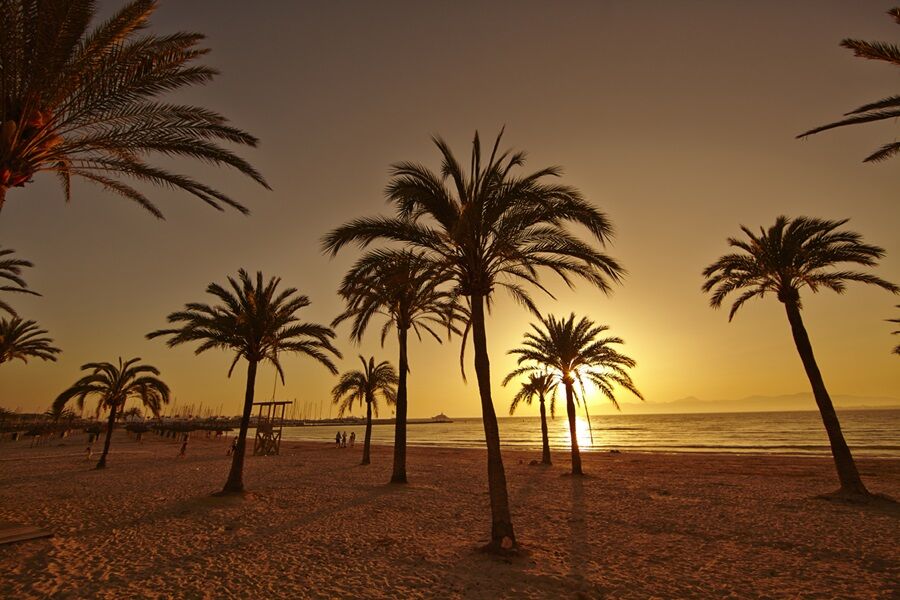 Mll Palma Bay Club Ośrodek wypoczynkowy 3*